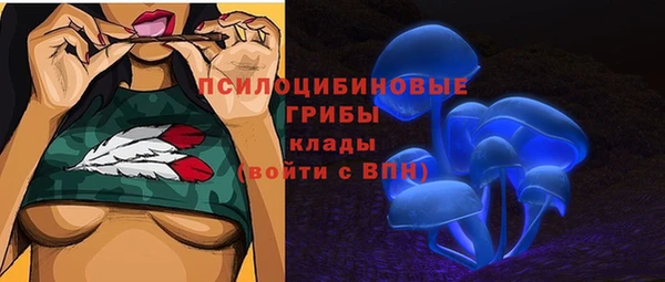 мяу мяу кристалл Алексин