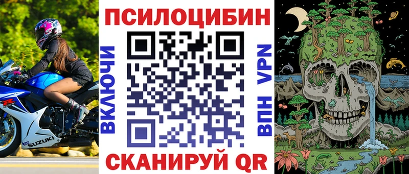 KRAKEN зеркало  Владимир  площадка телеграм  закладки  Галлюциногенные грибы Magic Shrooms 