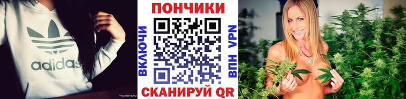 МЕГА онион наркотики Владимир Марихуана Amnesia